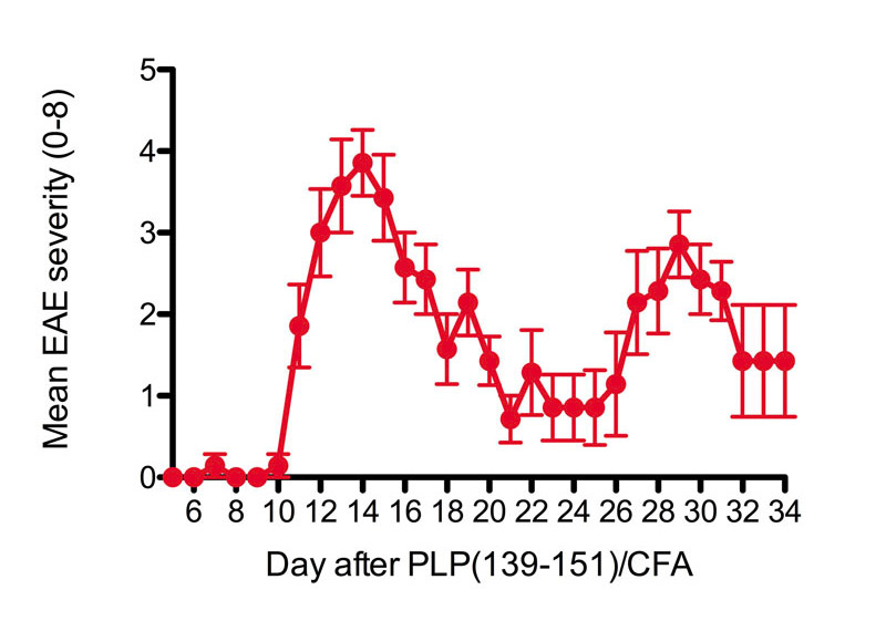 PLP Induced