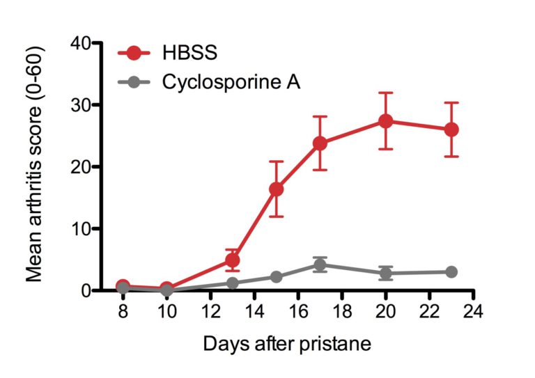 Rat Pristane Induced Arthritis