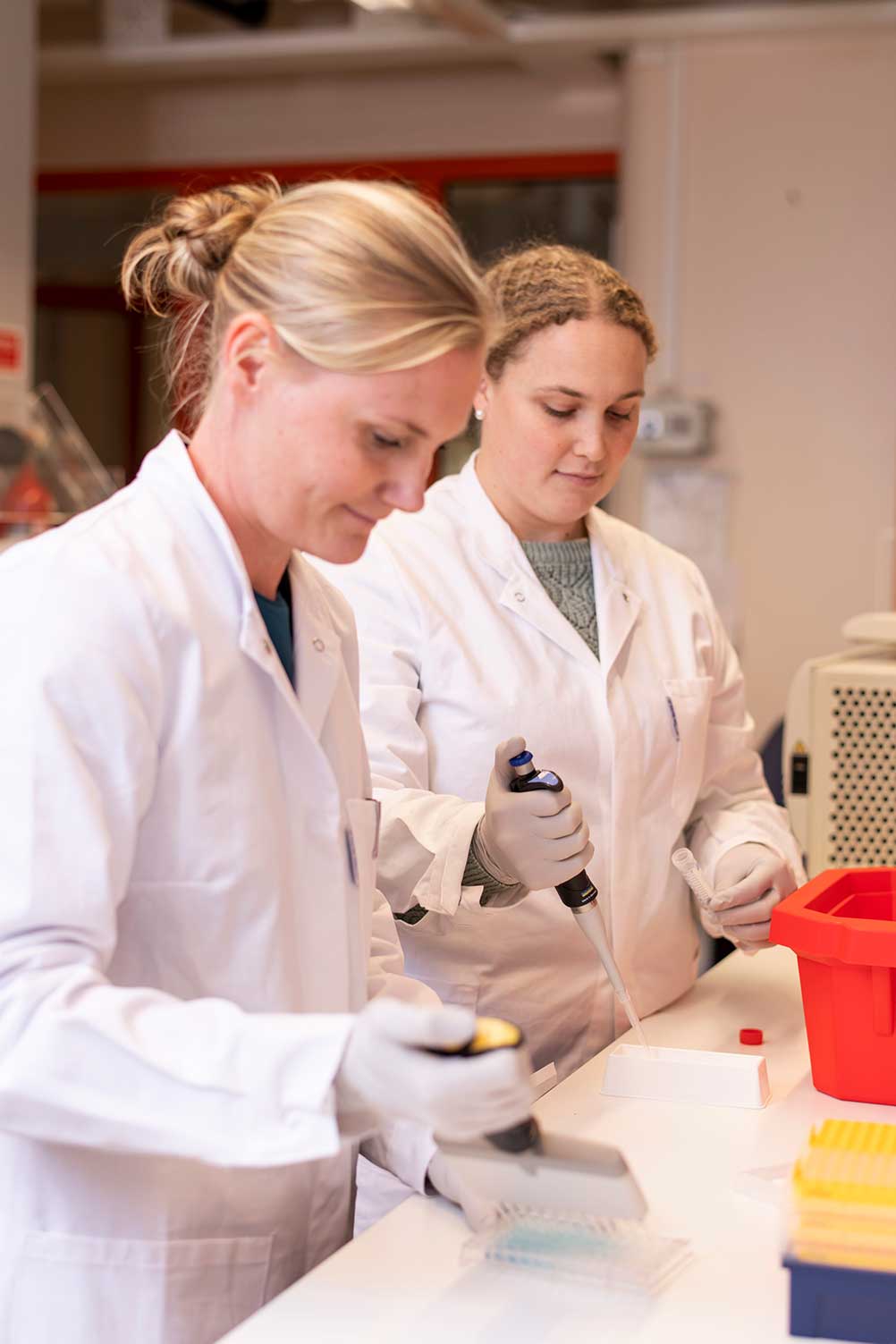 People working in lab